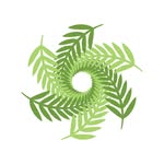 NZ Cinematographers Society