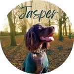 𝙹𝚊𝚜𝚙𝚎𝚛