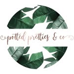 Potted Plants, Urns & Dried Arrangements | Brisbane & Gold Coast