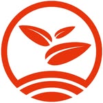 d:matcha Kyoto