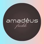 Amadeus Freddo