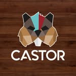 Castor Muebles y Accesorios