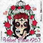 Velvet Rose Caracas Vzla
