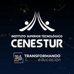 TECNOLOGICO CENESTUR