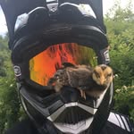Sloth Moto