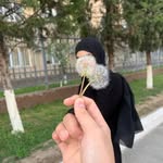 1sokinginam