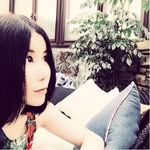 李喜猫
