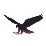 Wingspan Birds of Prey Trust