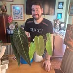The Prince of Araceae: Welcome to my Green World Blog 💚🌱