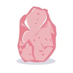 Himalayan Spa - Beauty & Wellness | Bowmanville Spa