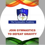 The gymnastics academy