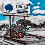 Blue Oak Trading Company