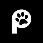 Pawezy