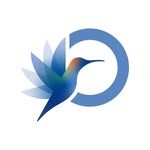 International Diabetes Federation