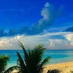 EverythingPlayaDelCarmen