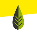 Nutrisalud RD
