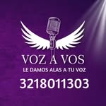 Escuela de entrenamiento vocal 🪽
