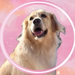 𝑯𝒂𝒏𝒏𝒂 💓