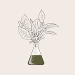 CUINA LAB | Ciencia y alimentos