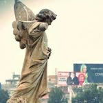 The Karachi Walla