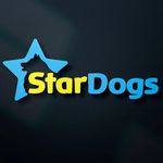 Canil StarDogs | Spitz