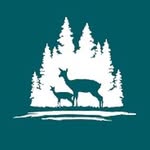 Woodforest: A New Home Community