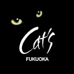 Cat's fukuoka