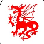 Capital Soccer Club