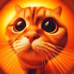 FunnyOrangeCats 🧡🐈