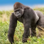 Orana Wildlife Park