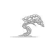 Arkefthos Bonsai
