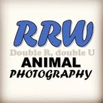 RRW Animal Photography