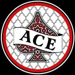 Ace Shawarma & Burgers