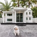 บ้านหมา Kapook Doghouse