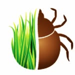 Lawn and Pest