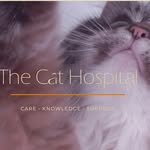 The Cat Hospital