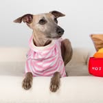 ᗩᒪᑭᕼOᑎᔕE TᕼE ᗯᕼIᑭᑭET