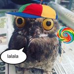 Qooslag "Bababooey" Guantino