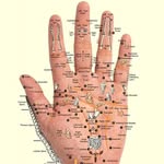 Acupressure Therapy Solution