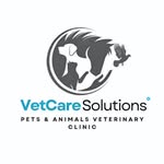 VetCare Solutions