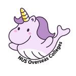 NUS Overseas Colleges (NOC)