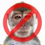 𝗺𝗼𝗻𝗶𝘁𝗼