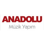 Anadolu Müzik