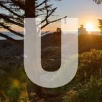 Tourism Ucluelet