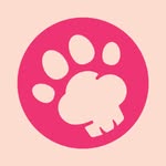 Petchef - Healthy Pet Meals 🐾