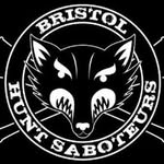 Bristol Hunt Sabs