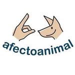 Educación canina y mocta