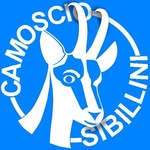 Camoscio Sibillini 🇮🇹🇮🇹🇮🇹