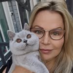 Fantasy league cattery, british cats, brittiskt korthår