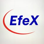 EfeX English for Excellence